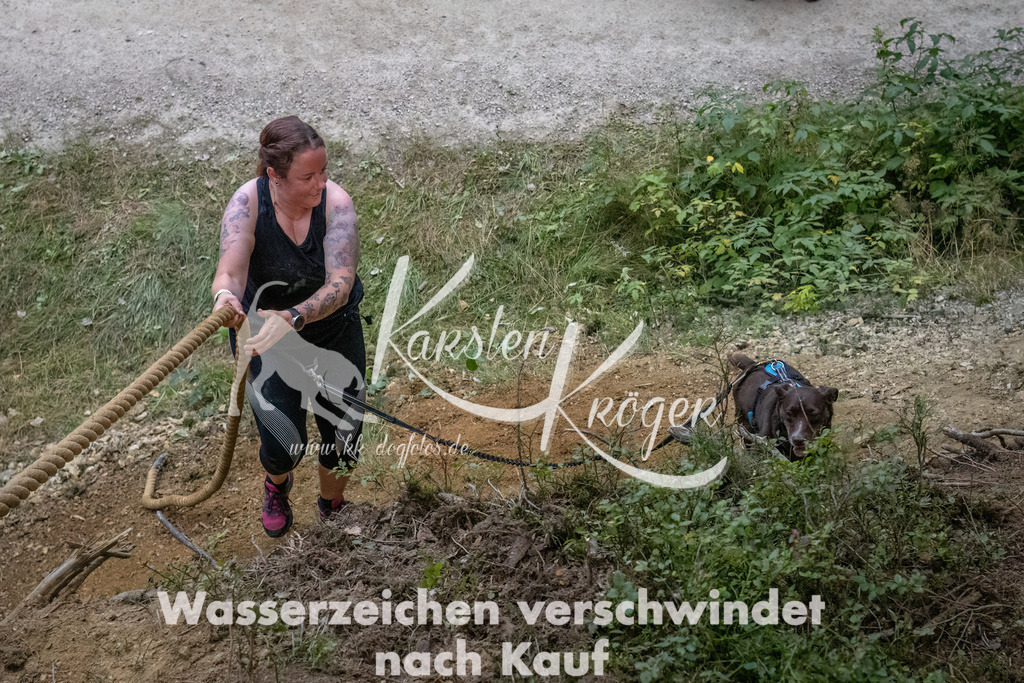 0951_ZZ93373-DeNoiseAI-low-light | kk-dogfotos