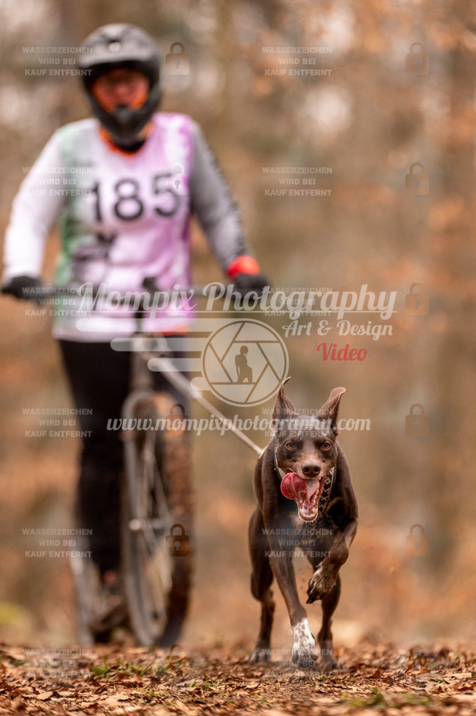 AKM_ST_2023_SAM_Scooter-66 | PayLife
