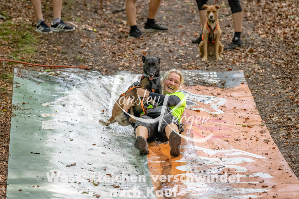 1106_ZZ94765-Bearbeitet | kk-dogfotos