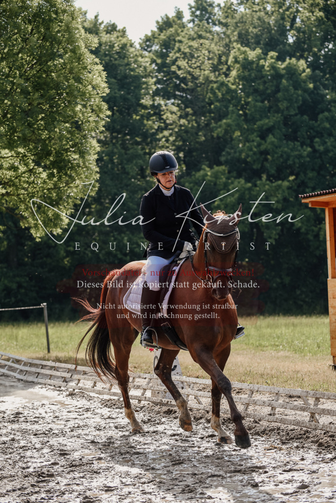 DSC_9242 | Pferde- und Turnierfotografie in Westsachsen. Pferdeportraits, Auftragszeichnungen und intuitive Kunst.