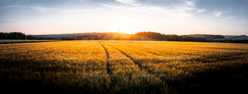Sonnenuntergang auf der schwäbischen Alb | löwenblicke | shop