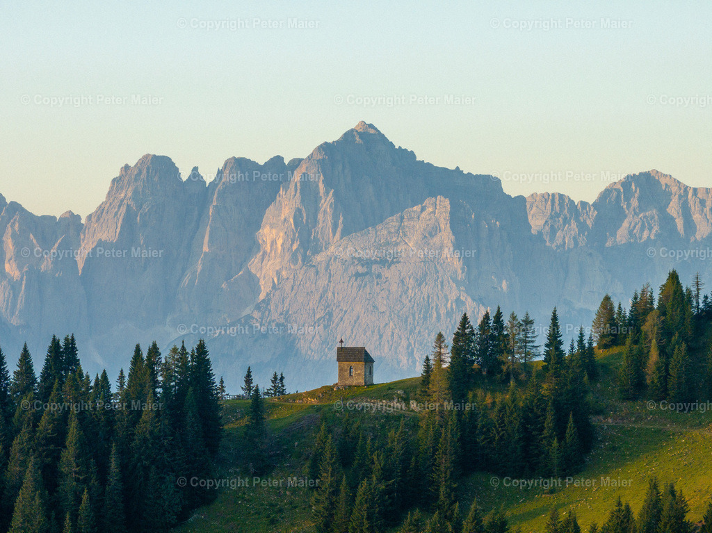 Feistritzer_Alm_2024-3 | default