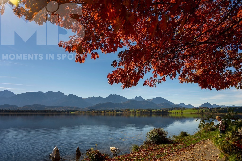 2.Liga-1860-HEIM.jpg | 17.10.2022, Herbst am Hopfensee im Allgäu (Bayern) bei Füssen. Bei sommerlichen Temperaturen geniessen viele Ausflügler die herbstliche Landschaft am See mit bunt gefärbtem Herbstlaub. Hier die Promenade in Hopfen am See.  - Realisiert mit Pictrs.com