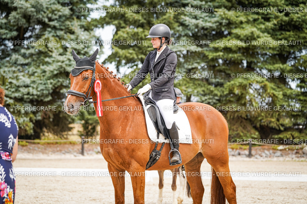 DSC04565 | Pferdegrafie