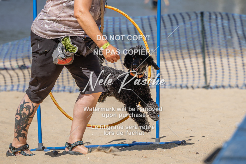 nelerasche_saBeachility_578 | nelerasche