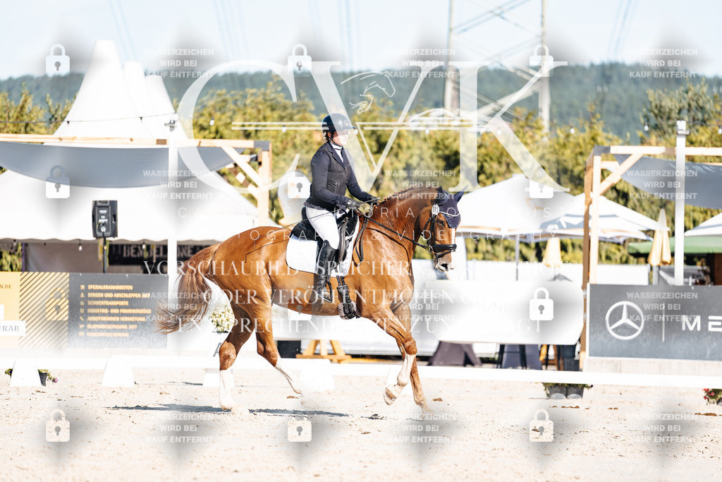 CK907725 | Turnierfotografie Pferdefotografie Trier Rheinland-Pfalz Pferdesport Reitsport Tierfotografie Sportfotografie Pferdevideo Pferdevideografie Equestrianvideography equestrianphotography  - Realisiert mit Pictrs.com