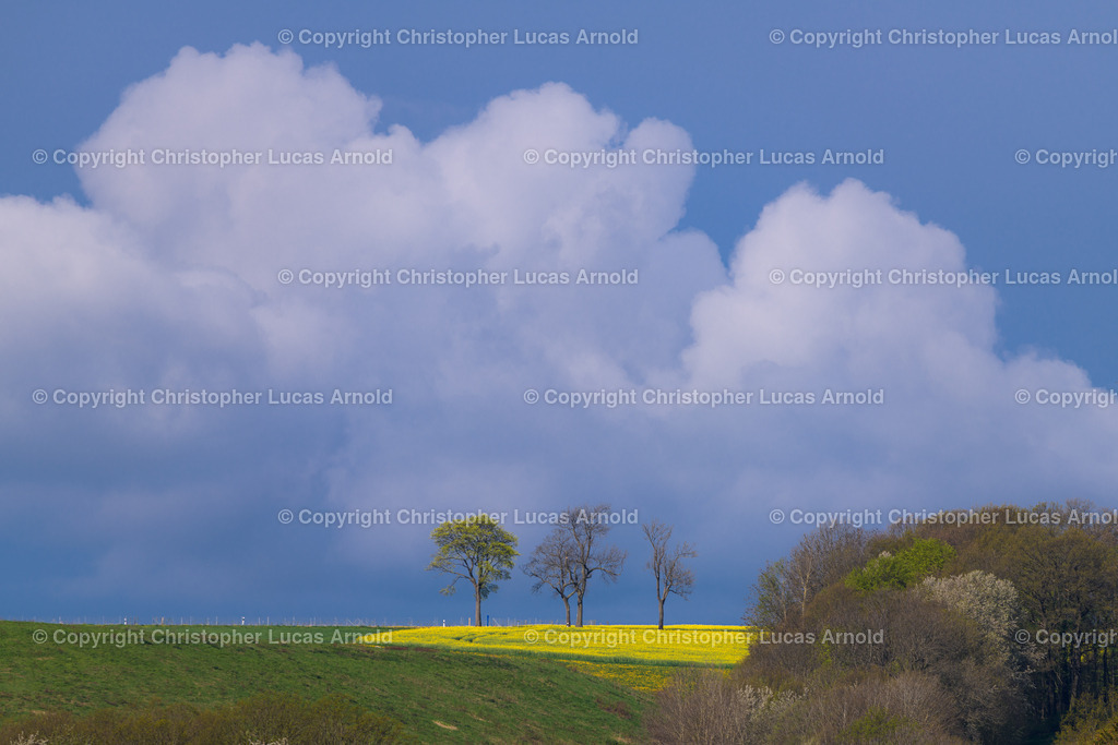 Frühlingserwachen | bildkomponist - Realisiert mit Pictrs.com