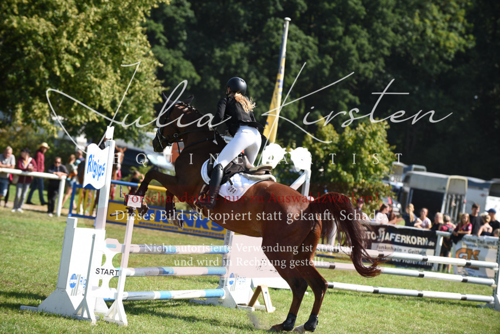 DSC_9181 | Pferde- und Turnierfotografie in Westsachsen. Pferdeportraits, Auftragszeichnungen und intuitive Kunst.