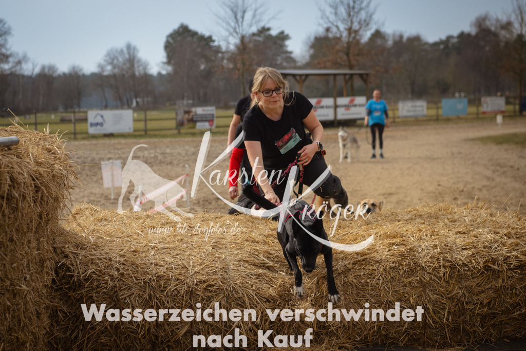 1133_ZZ94239 | kk-dogfotos