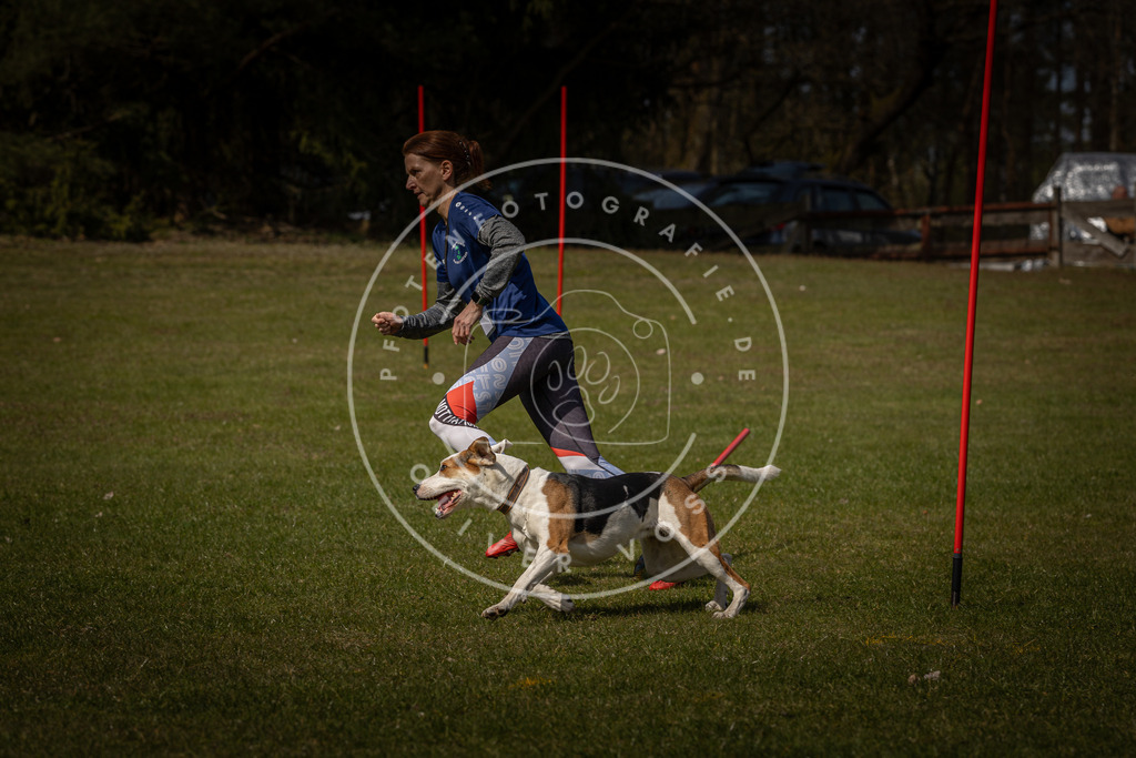 Pfotenfotografie_DV3A4479 | Hundefotografie, Tierfotograf, Pfotenfotografie, Fotoshooting Hund, Hunde Portrait, Hundesport, Hundeportraits, Heideshooting, Hunde, Sportfotograf, Hundefotograf, Turnierhundsport, THS,  - Realisiert mit Pictrs.com