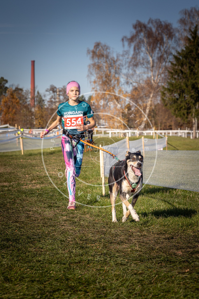 CaniXpix_0L8A7802 | Hundefotografie, Tierfotograf, Pfotenfotografie, Fotoshooting Hund, Hunde Portrait, Hundesport, Hundeportraits, Heideshooting, Hunde, Sportfotograf, Hundefotograf, Turnierhundsport, THS,  - Realisiert mit Pictrs.com