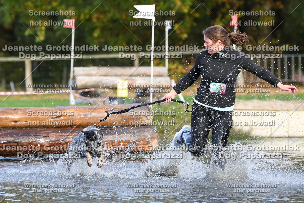Dog Paparazzi - Strongdog 10-25-8261 | Dog Paparazzi Jeanette Grottendiek Fotografie & Videografie - Realisiert mit Pictrs.com