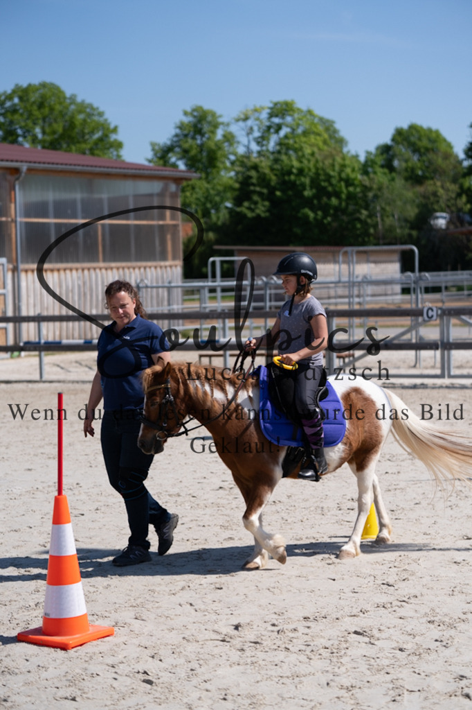 A7V01789 | Pferdefotograf