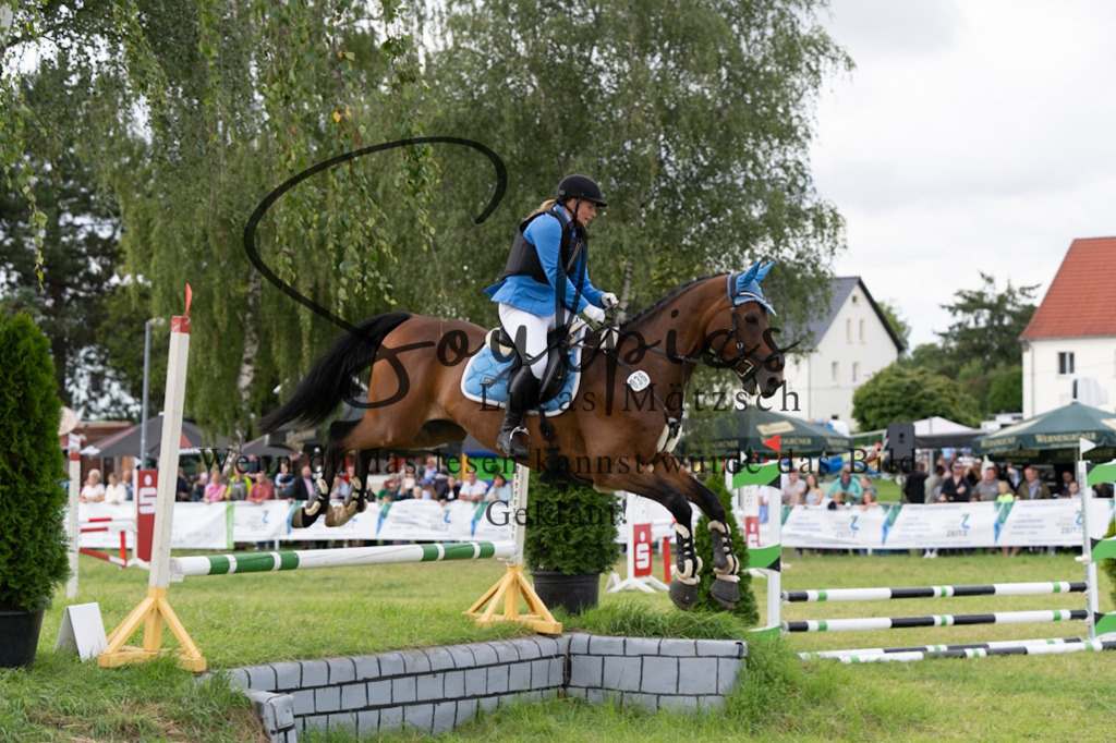 A7V05847 | Pferdefotograf