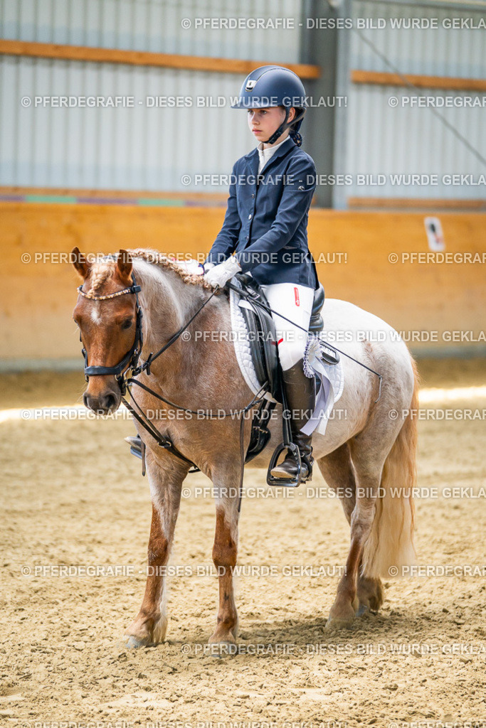 DSC02749 | Pferdegrafie