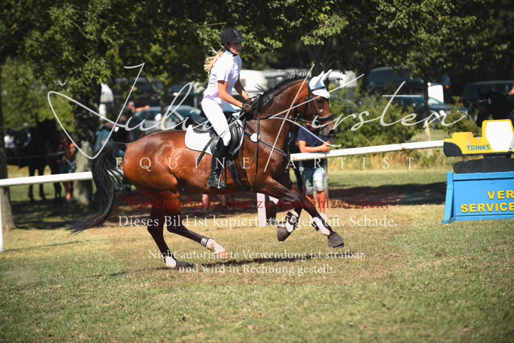 DSC_7176 | Pferde- und Turnierfotografie in Westsachsen. Pferdeportraits, Auftragszeichnungen und intuitive Kunst.