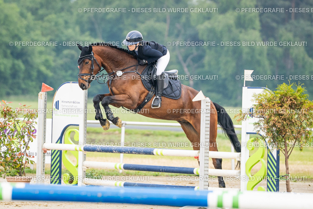 DSC08420 | Pferdegrafie