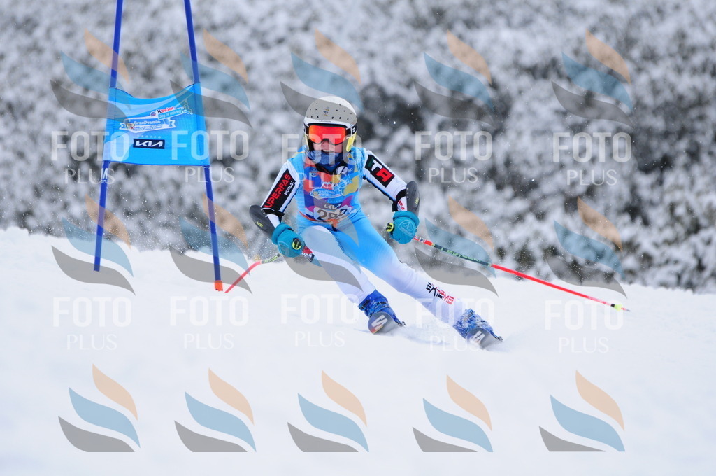 C2982 | holidayphoto