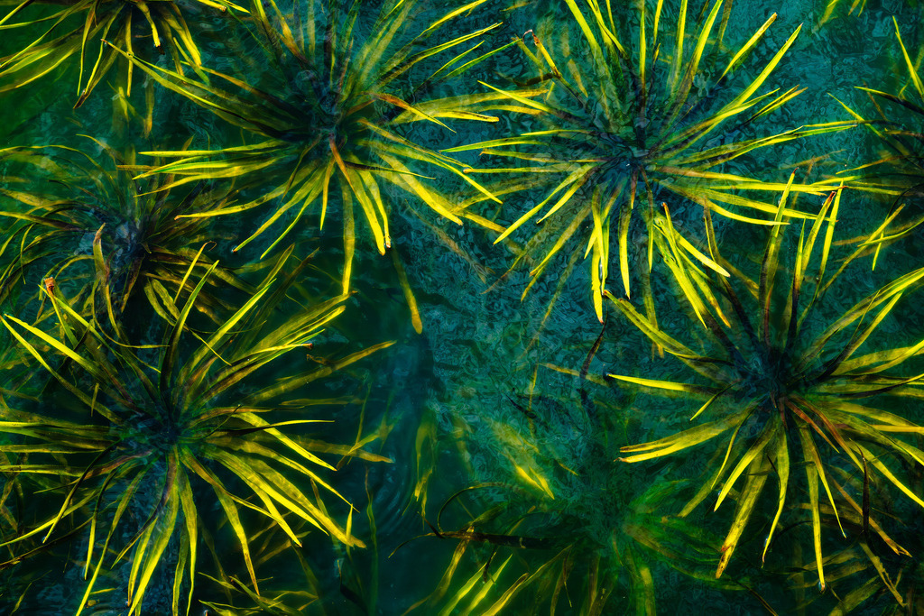 2025_09_20_SH-HEMMELSDORFER SEE+SCHARBEUTZ_MCP2734 | Hochwertig gedruckte Fotografien für die Wand, als Kalender und zum Verschenken. Hamburg & Norddeutschland und überall wo ich mit der Kamera unterwegs war.