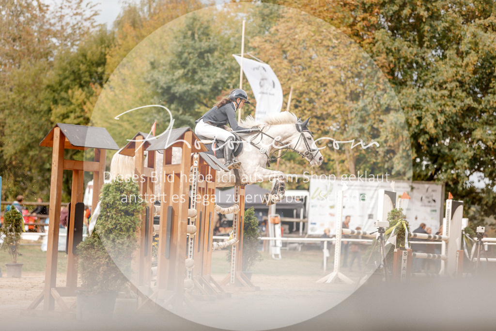 3I6A8202 | Stimmungsvolle Portraits und Reitsportfotografie im Ruhrgebiet und im Münsterland.

Pferdefotografie, Hundefotografie, Tierfotografie, Reportagen, Portraits von Tier und Mensch, Turnierfotografie in Bochum, Recklinghausen, Marl, Haltern am See, Dülmen.. - Realisiert mit Pictrs.com