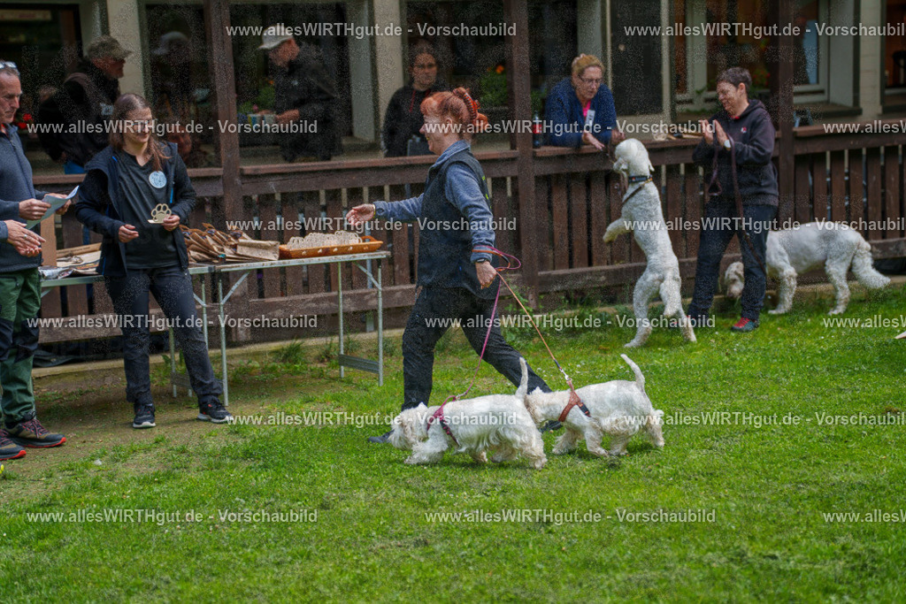 @allesWIRTHgut_Tierfotografie - www.allesWIRTHgut.de - 7R504002 | Professionelle Tierfotografie in Mönchengladbach von Daniel Wirth (allesWIRTHgut). Liebevolle & natürliche Bilder von Hunden & Katzen für unvergessliche Erinnerungen.