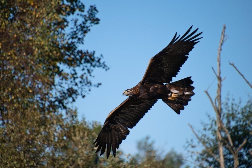 DSC_0821 | Unvergessliche Erinnerungen in Bildern festgehalten! Ob Hochzeit, Shooting oder Landschaft  - Ich bin dein Fotograf in Erfurt und Umgebung! Photo-Rauch | Sandro Rauch - Realisiert mit Pictrs.com