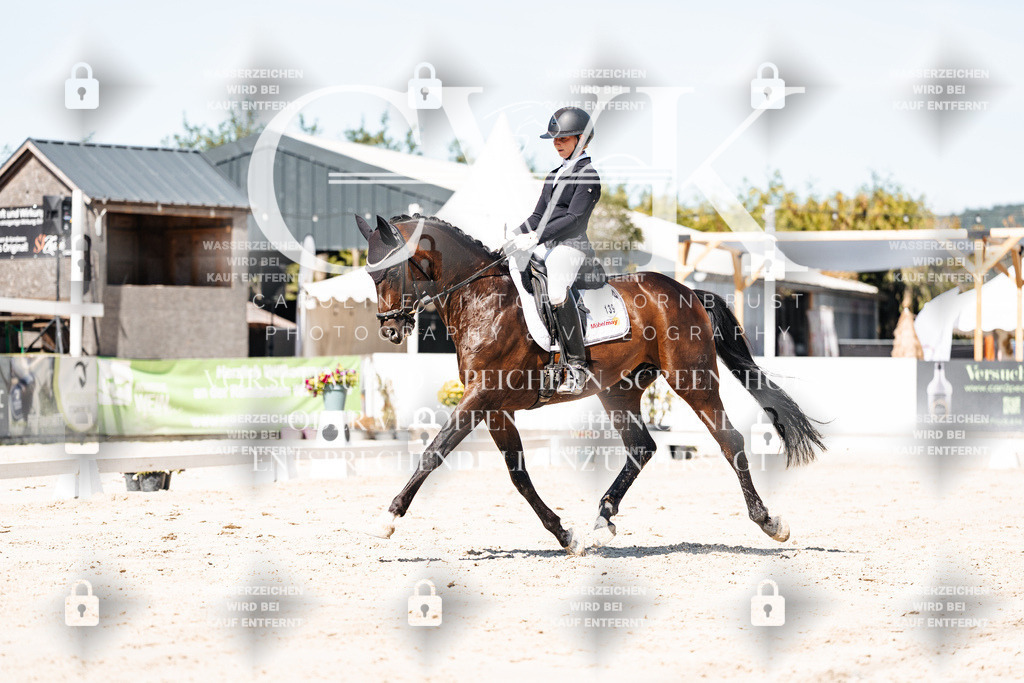CK909468 | Turnierfotografie Pferdefotografie Trier Rheinland-Pfalz Pferdesport Reitsport Tierfotografie Sportfotografie Pferdevideo Pferdevideografie Equestrianvideography equestrianphotography  - Realisiert mit Pictrs.com