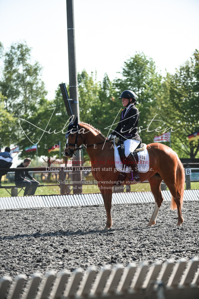 DSC_8410 | Pferde- und Turnierfotografie in Westsachsen. Pferdeportraits, Auftragszeichnungen und intuitive Kunst.