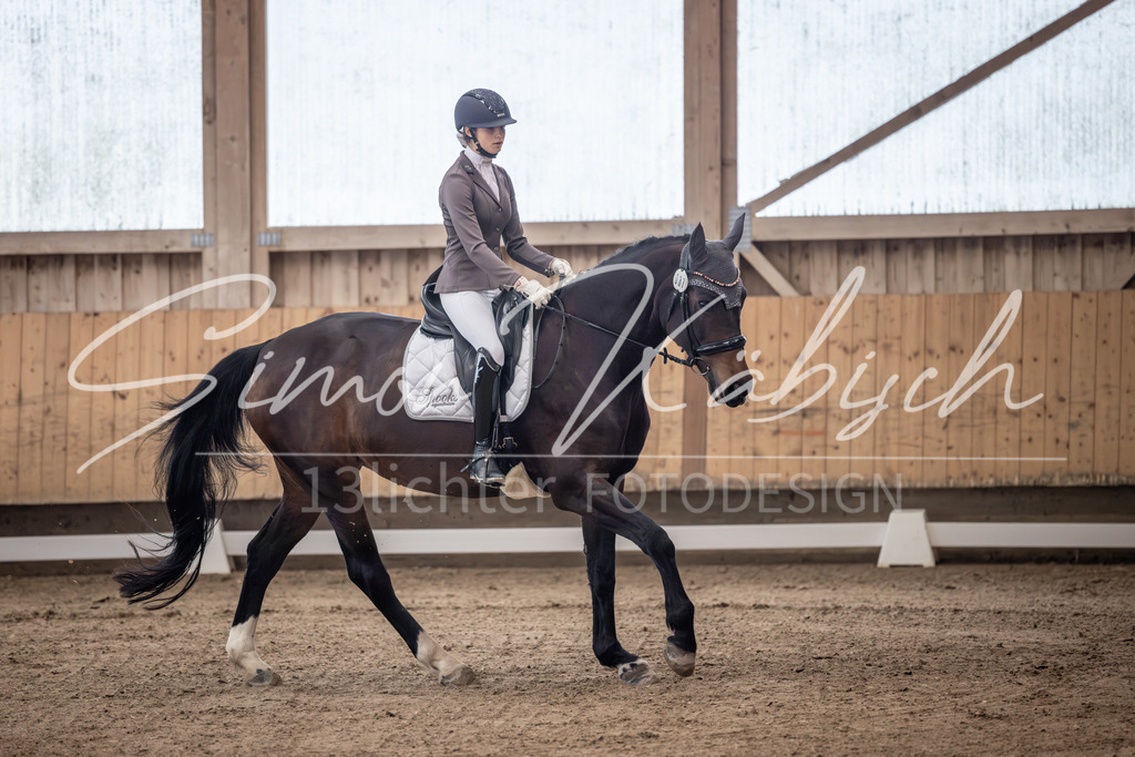 20251011-_3LI9707 | Tierfotografie Pferde, Hunde, Katzen, Haustiere.
Turnierfotografie Reitturniere, Reiten, Springreiten, Dressur in Hanau, dem Main-Kinzig-Kreis und dem Rhein-Main- Gebiet um Frankfurt
