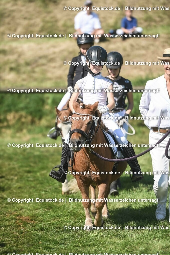 20230910_11-3_Führzügel-WB_0097 | Foto: Thomas Hartig