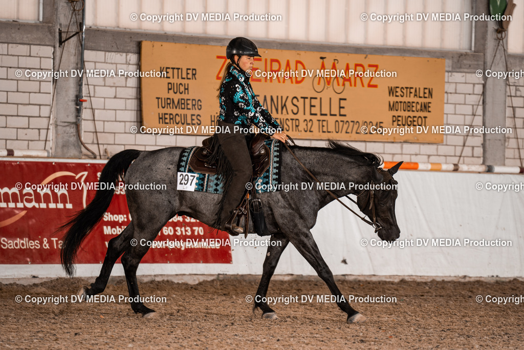 ZH100130 | dv-media-shop - Realisiert mit Pictrs.com