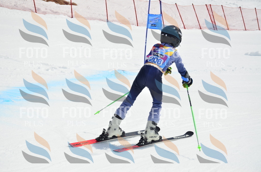 _ELE1441 | holidayphoto