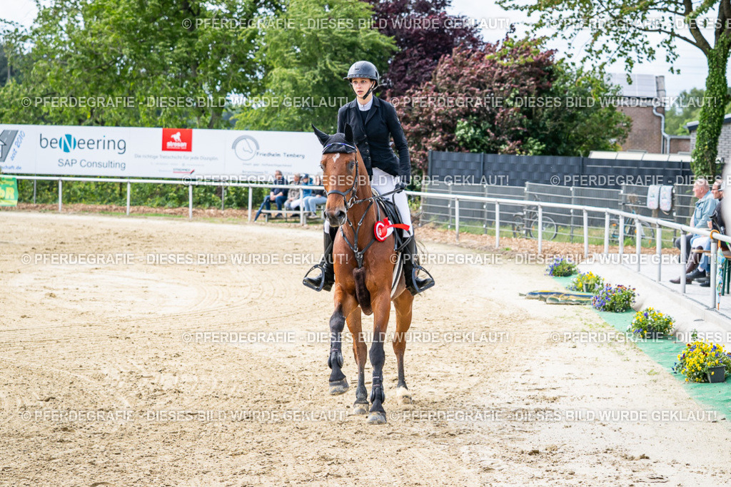 DSC05733 | Pferdegrafie