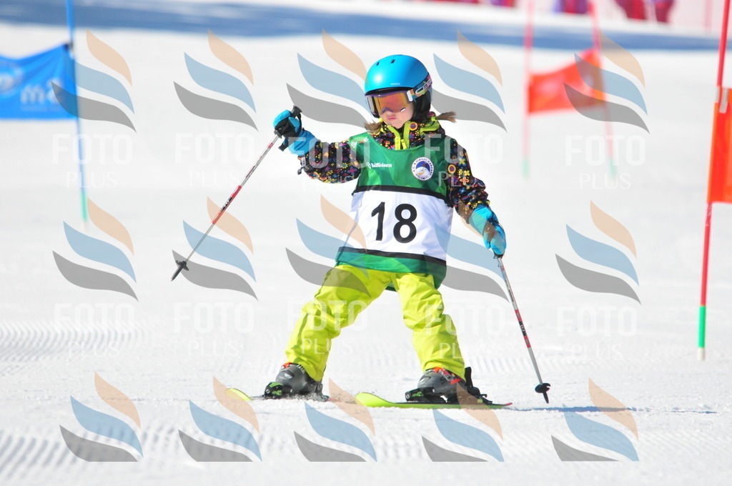 C1915 | holidayphoto