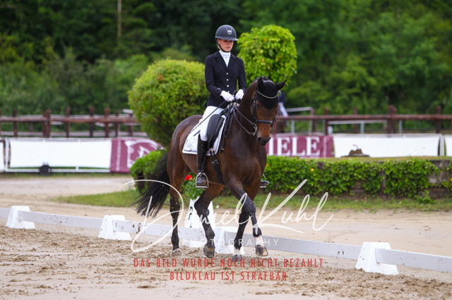 DKP46785 | Turniersportfotografie; Pferdefotografie; Dressurfotografie