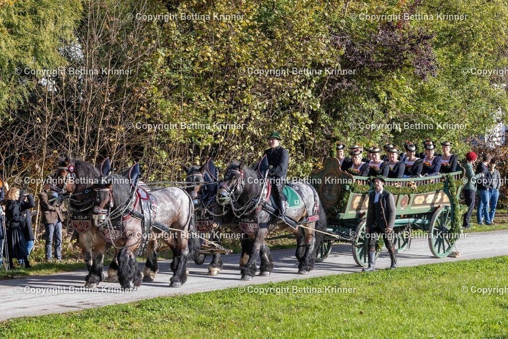 LBT24-616 | foto-bettina-krinner - Realisiert mit Pictrs.com