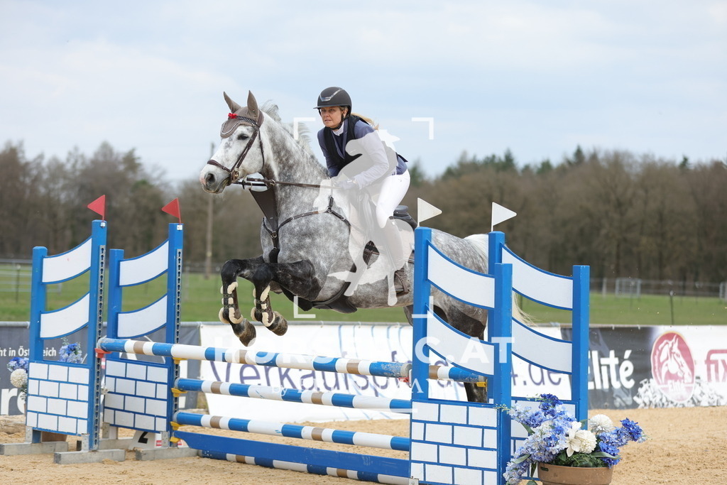 0P6A8514 | Willkommen bei Brunnmayr - Design & Fotografie – Ihrem Spezialisten für Reitturniere und Pferdeveranstaltungen in Oberösterreich, Salzburg und Bayern! Seit über 17 Jahren sind wir leidenschaftlich dabei.