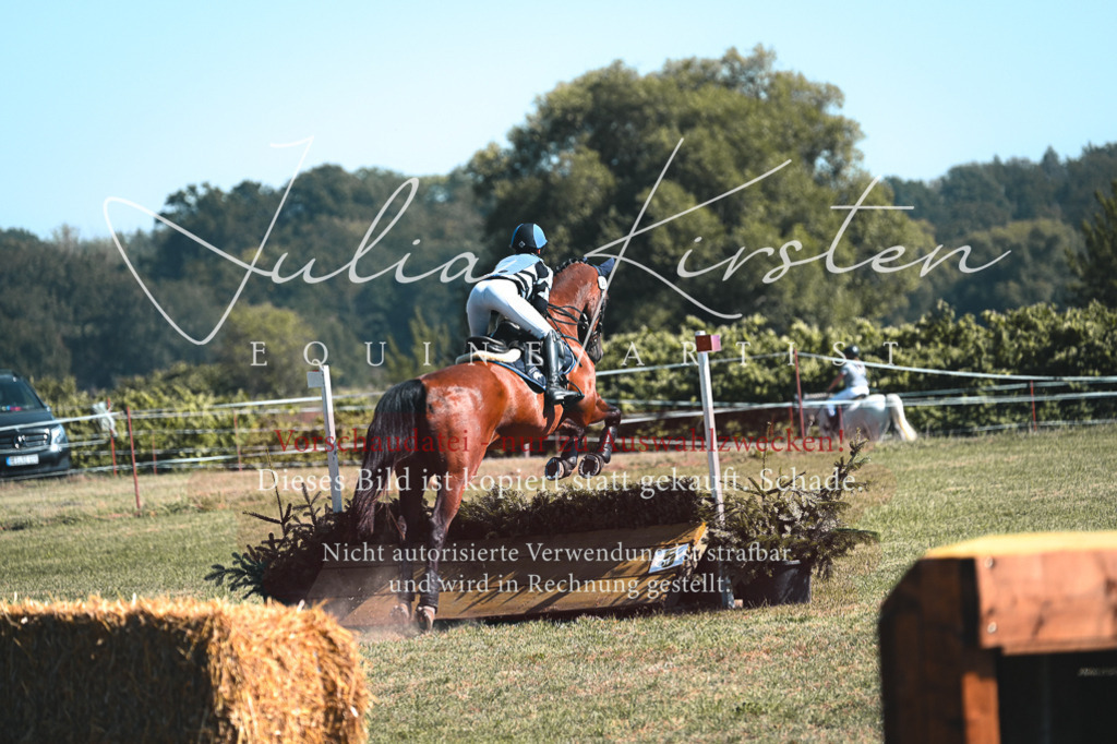 DSC_8057 | Pferde- und Turnierfotografie in Westsachsen. Pferdeportraits, Auftragszeichnungen und intuitive Kunst.