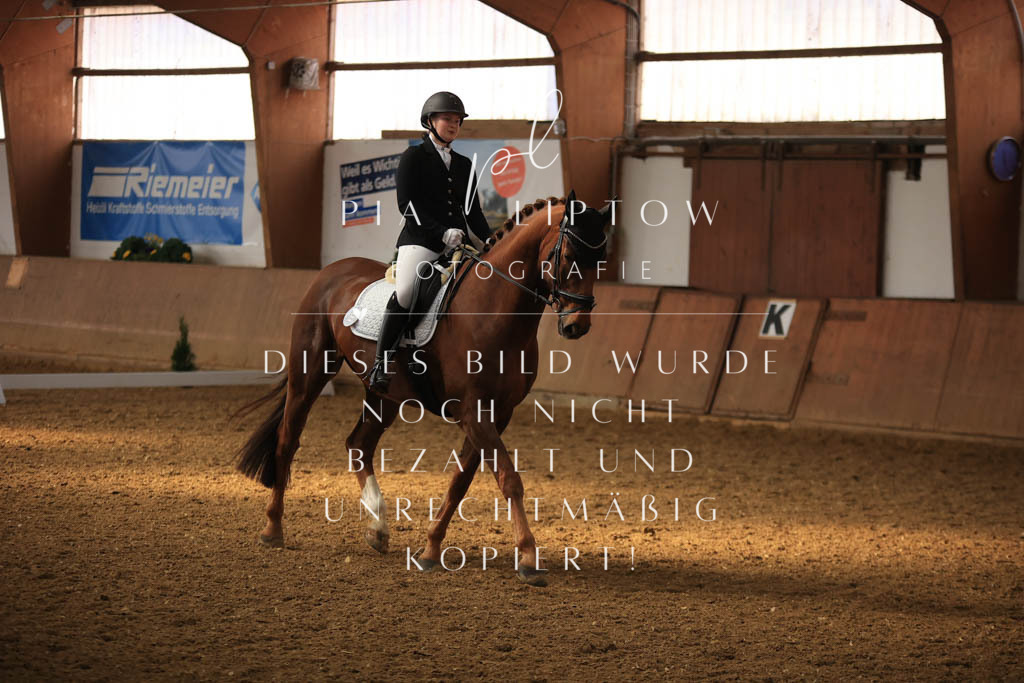 IMGT7772 | pl-fotografie