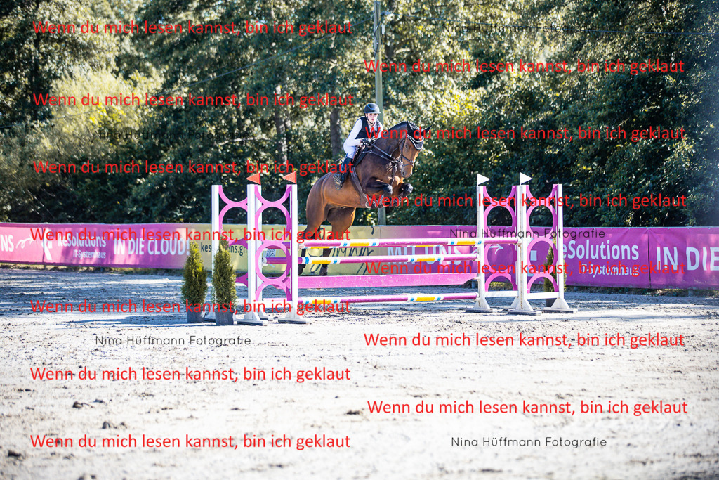 BK1A5830 | Turnierbilder Turnierfotos Nina Hüffmann Turnierfotografie Pferdefotografie Tierzeichnung Haustierzeichnung Pferdezeichnung Hundezeichnung Videograf  - Realisiert mit Pictrs.com