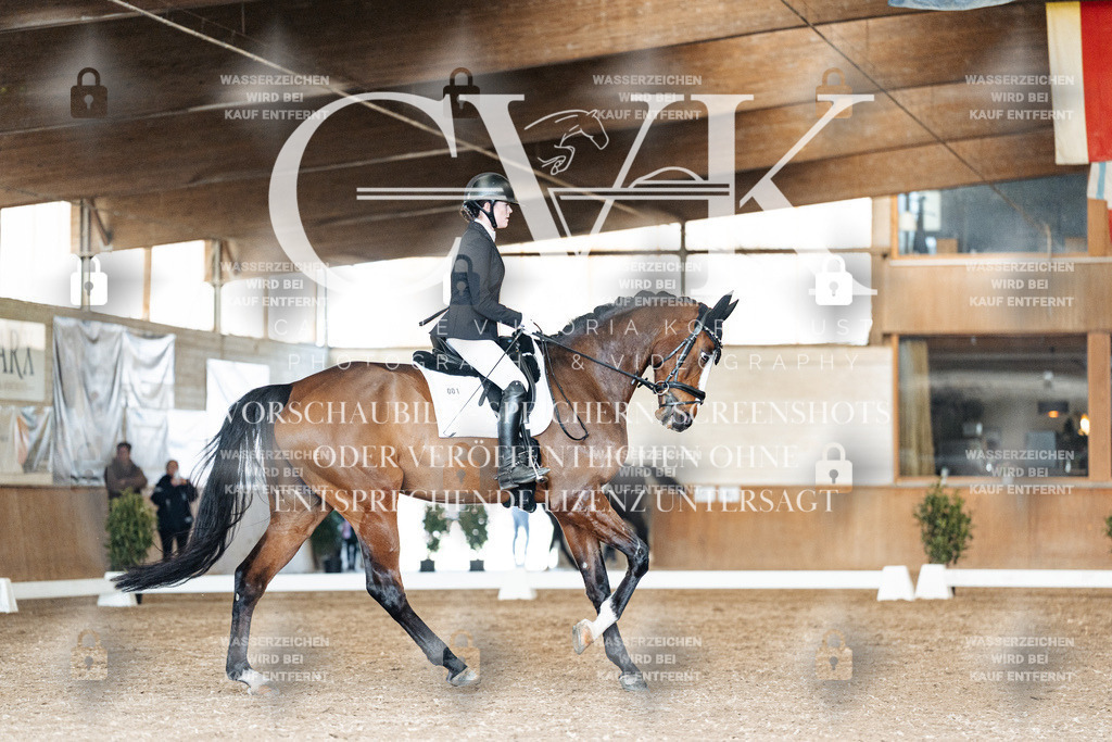 CK901798 | Turnierfotografie Pferdefotografie Trier Rheinland-Pfalz Pferdesport Reitsport Tierfotografie Sportfotografie Pferdevideo Pferdevideografie Equestrianvideography equestrianphotography  - Realized with Pictrs.com