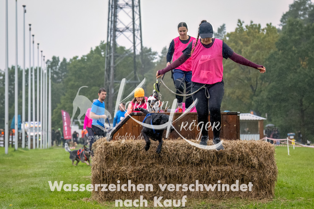 1005--18 | kk-dogfotos