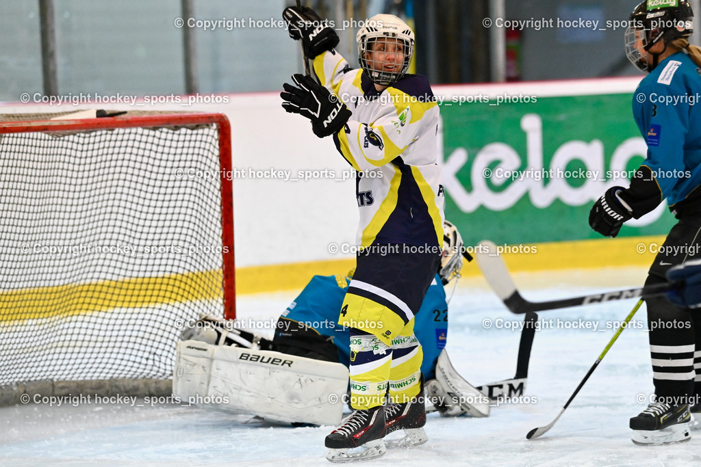 BST_6348 | hockey sports photos, Pressefotos, Sportfotos, hockey247, win 2day icehockeyleague, Handball Austria, Floorball Austria, ÖVV, Kärntner Eishockeyverband, KEHV, KFV, Kärntner Fussballverband, Österreichischer Volleyballverband, Alps Hockey League, ÖFB, 