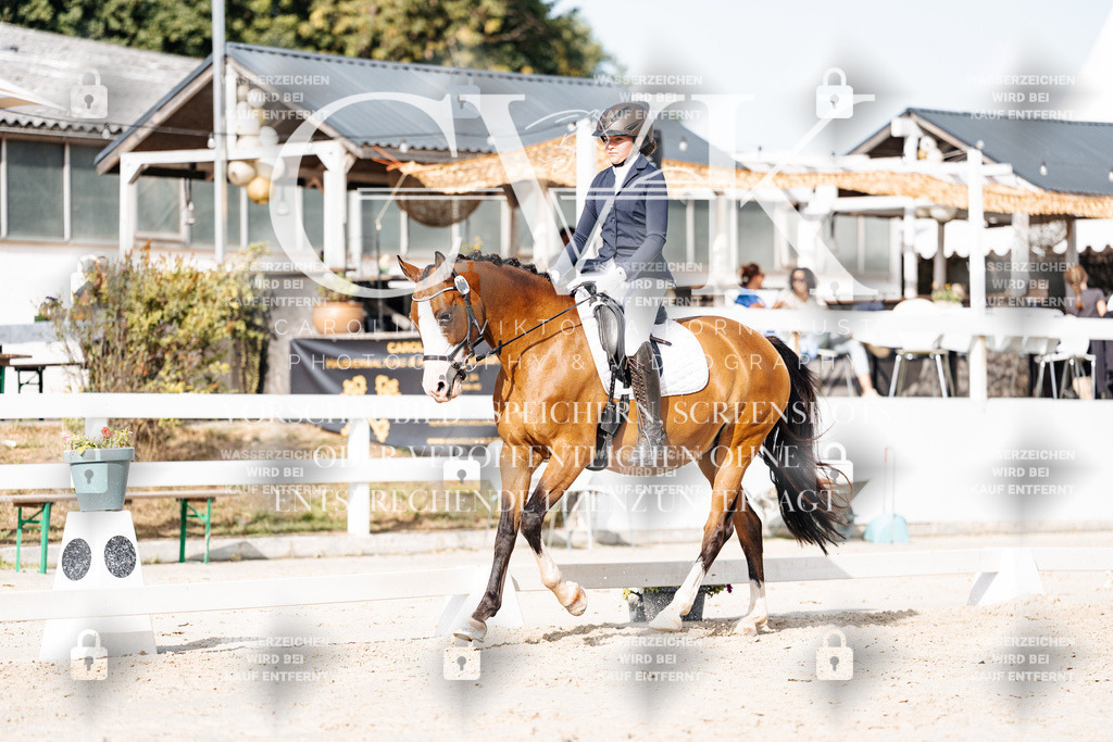 CK905407 | Turnierfotografie Pferdefotografie Trier Rheinland-Pfalz Pferdesport Reitsport Tierfotografie Sportfotografie Pferdevideo Pferdevideografie Equestrianvideography equestrianphotography  - Realisiert mit Pictrs.com