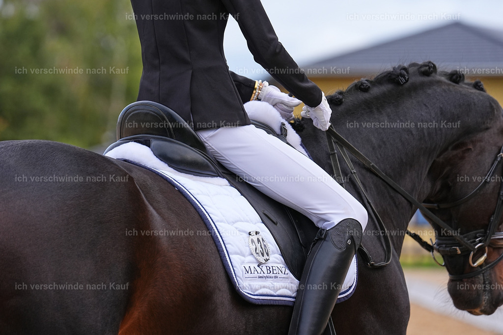 02-236-DRESSUR L_  -Marixx-4825 | working equitationturnier fotograf videograf stoibphotography marixx film working equitation deutschland reitsport turnierfotografie eventfotografie equestrian events