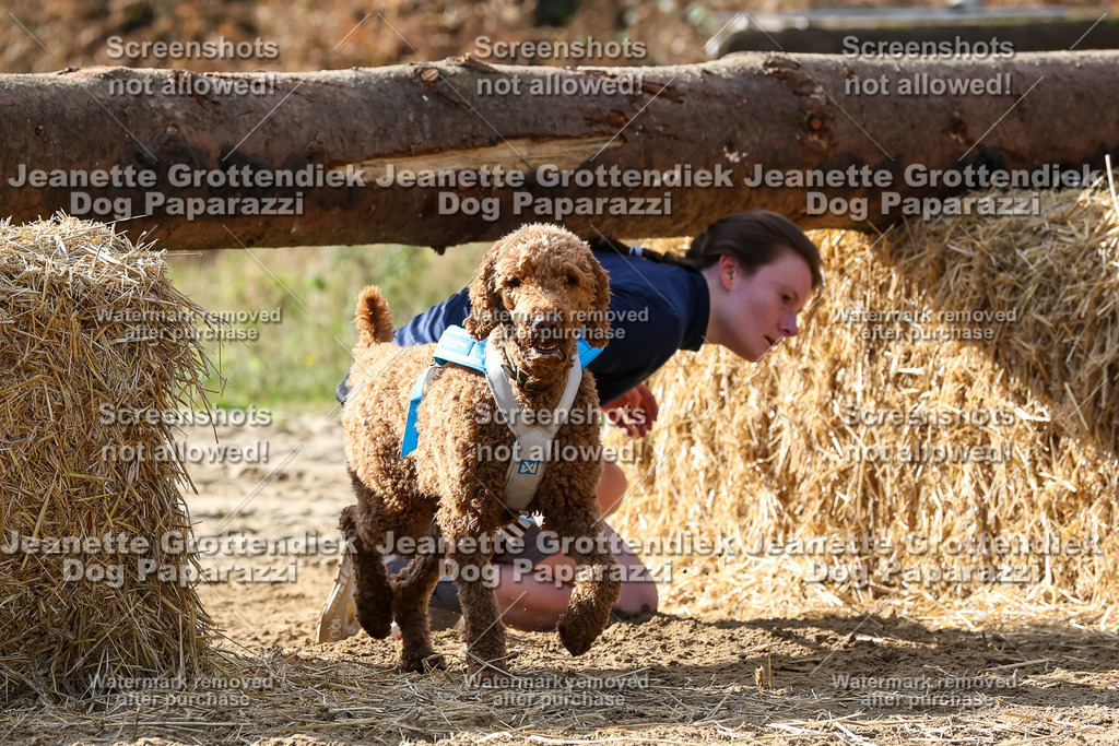 Dog Paparazzi - Strongdog 10-25-5762 | Dog Paparazzi Jeanette Grottendiek Fotografie & Videografie - Realisiert mit Pictrs.com