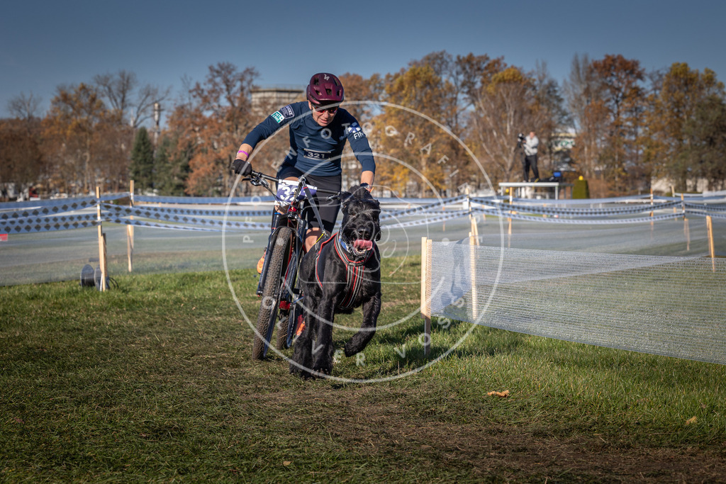 CaniXpix_0L8A5726 | Hundefotografie, Tierfotograf, Pfotenfotografie, Fotoshooting Hund, Hunde Portrait, Hundesport, Hundeportraits, Heideshooting, Hunde, Sportfotograf, Hundefotograf, Turnierhundsport, THS,  - Realisiert mit Pictrs.com
