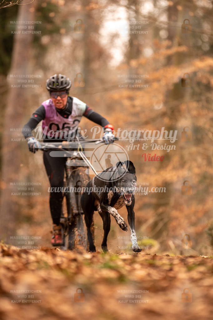 AKM_ST_2023_SAM_Bike-7 | PayLife