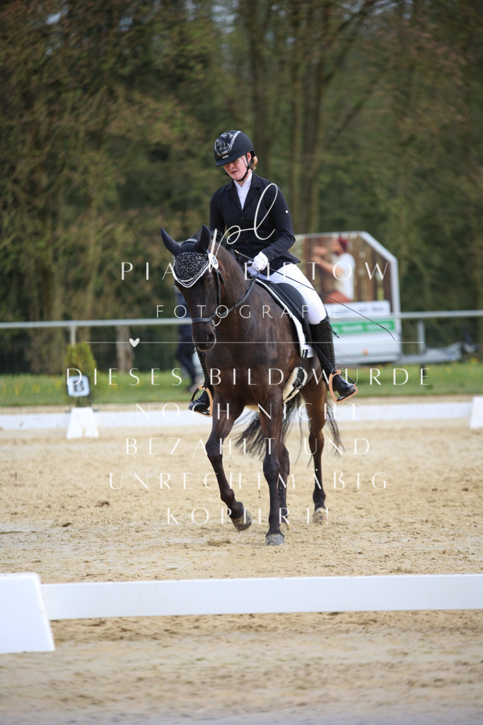 IMGT6978 | pl-fotografie