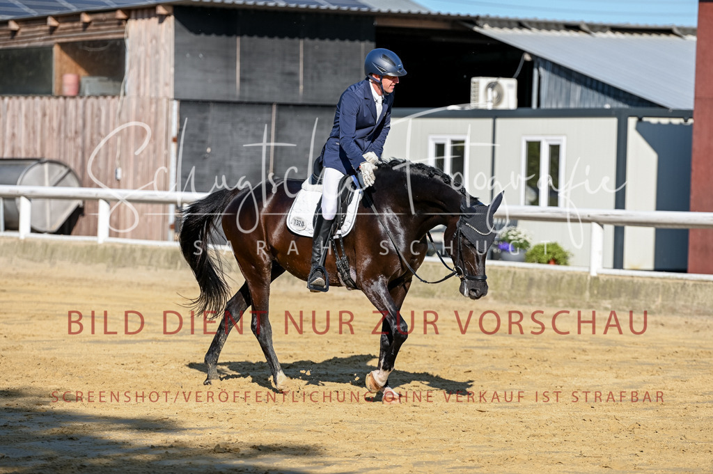 Schugtsche-Aluta25-51.Dressurpferdeprf.M-96 | Schugtsche Fotografie - Realisiert mit Pictrs.com